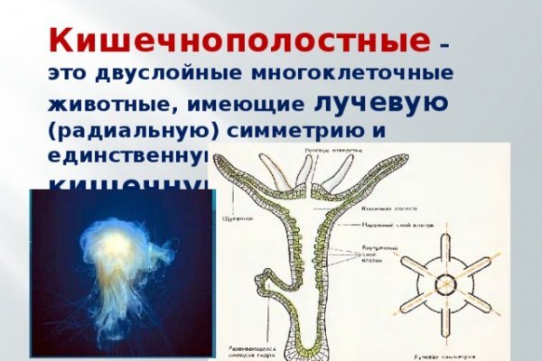 Блэк сайт bs onion info